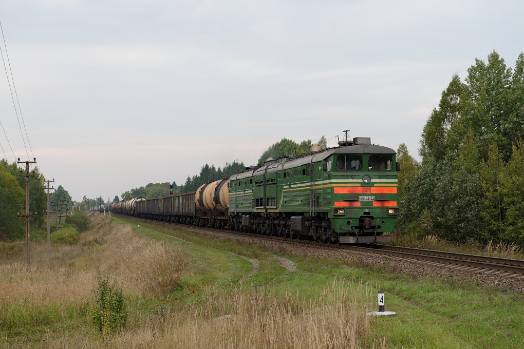 610 011176 Baltic
