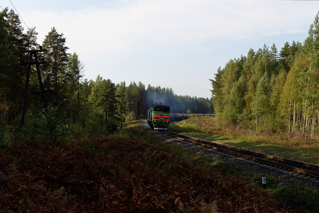 610 011445 Baltic