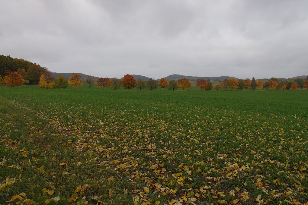 610 013966 Herbst 1020