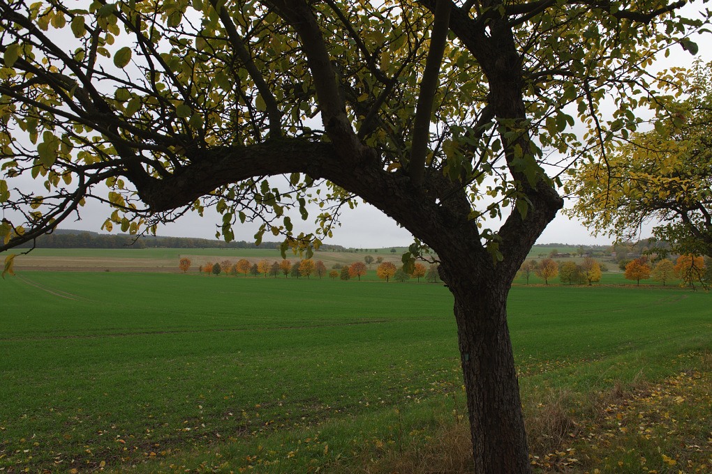 610 013991 Herbst 1020