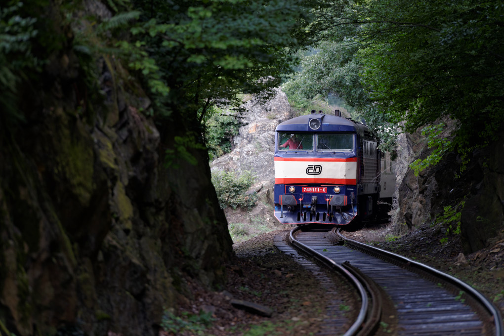 610 4598 Bardotka 749 121 0