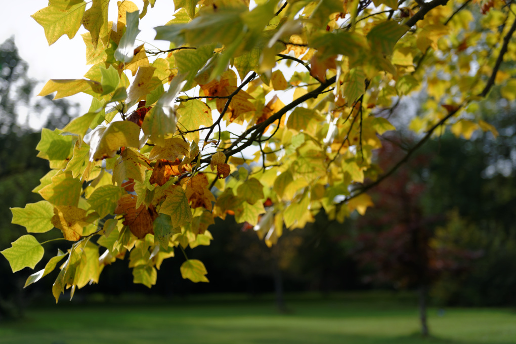 610 5322 Bad Berka