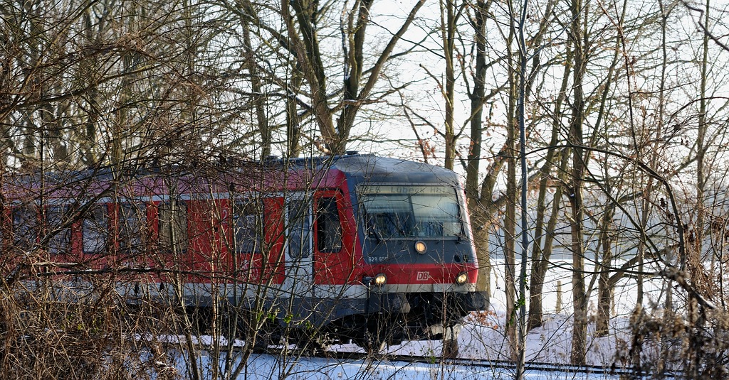 628 im Wald