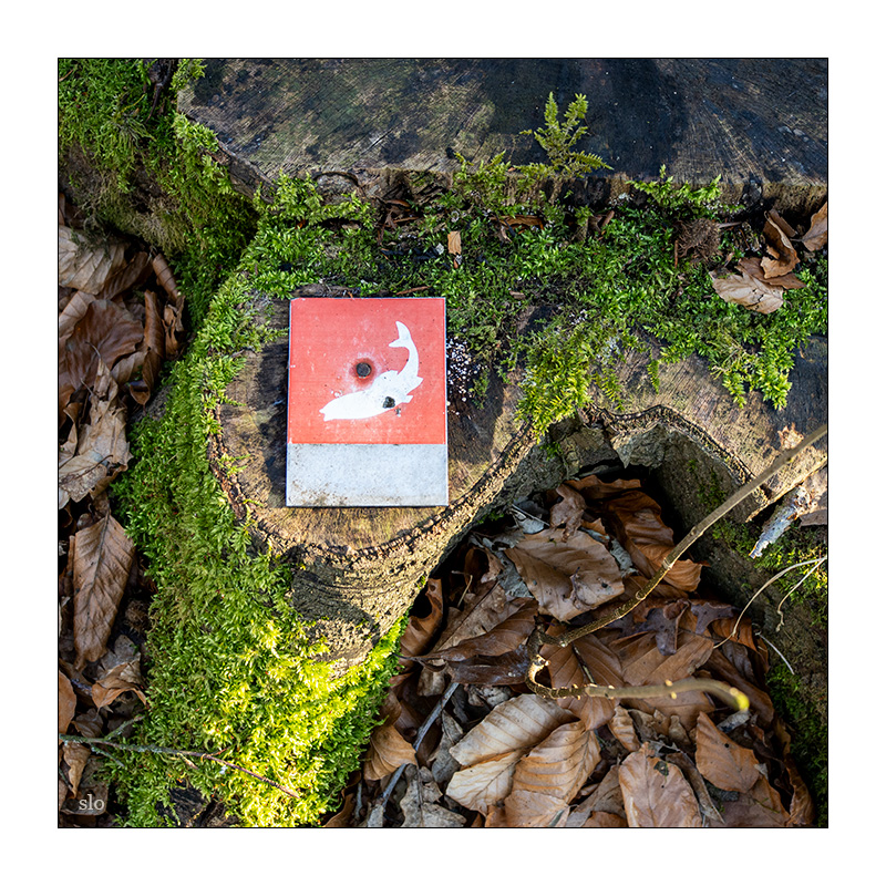 63/365 Ane Brun – You’ll Never Walk Alone © 2026 Sabine Lommatzsch