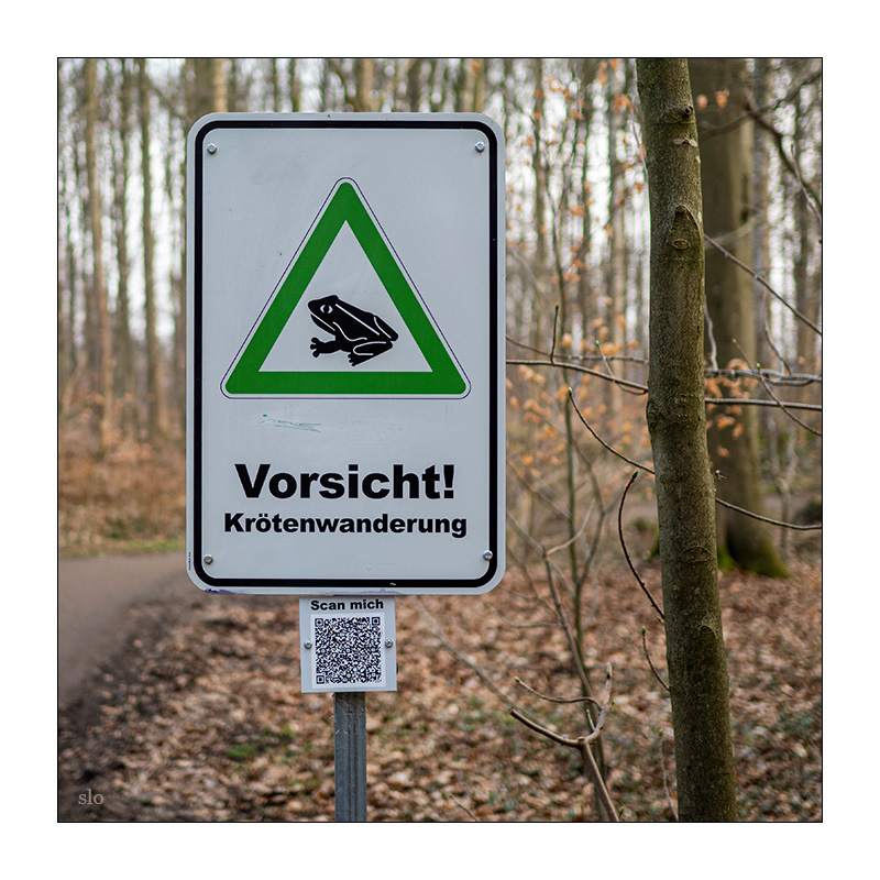 66/365 Saga – Careful Where You Step © 2026 Sabine Lommatzsch