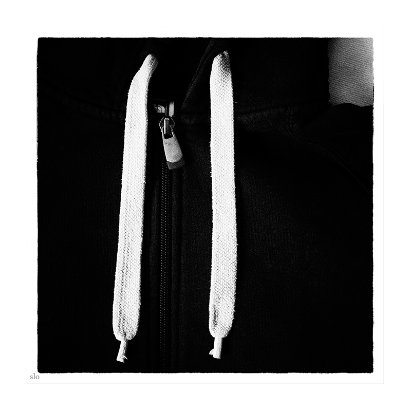 66/365