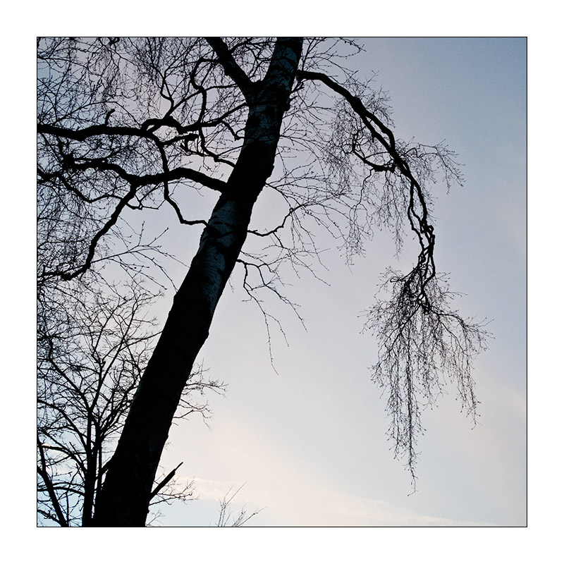 68/365