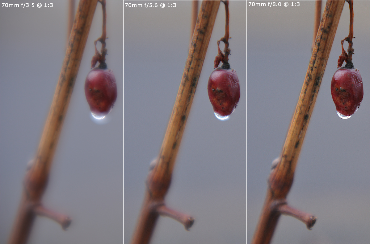 70 160 Macro