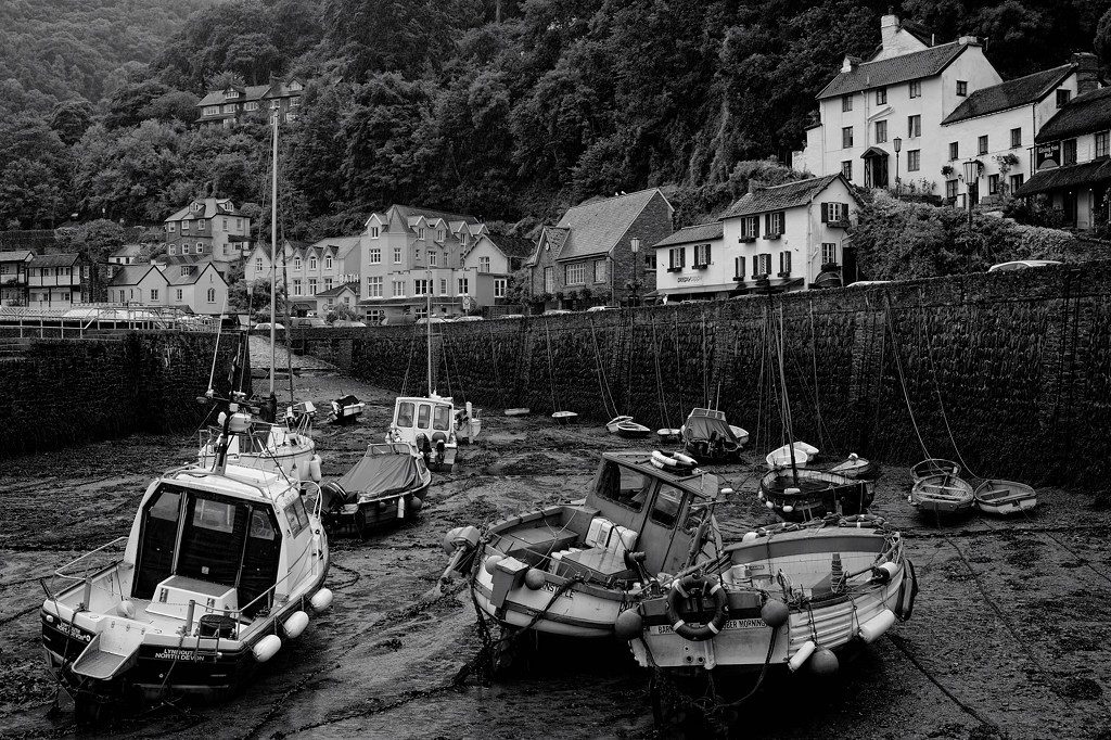 7006557bw