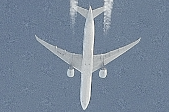 7007137AA