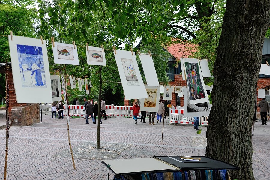 702 5464 jiw - Kunst auf der Wäscheleine