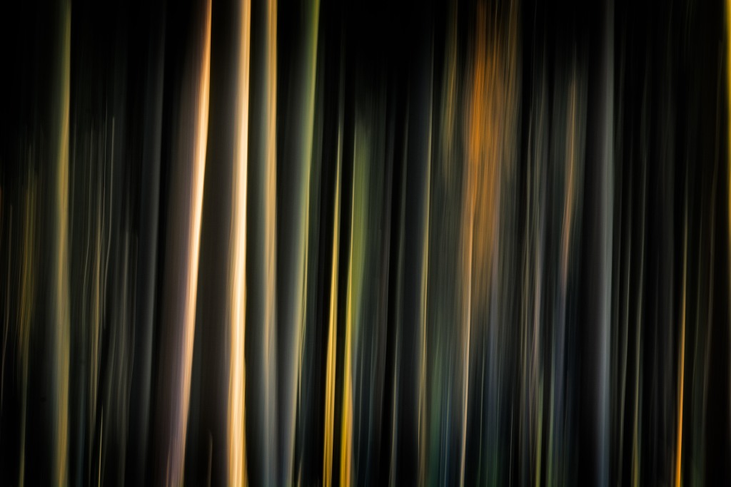 710 7723NF 003