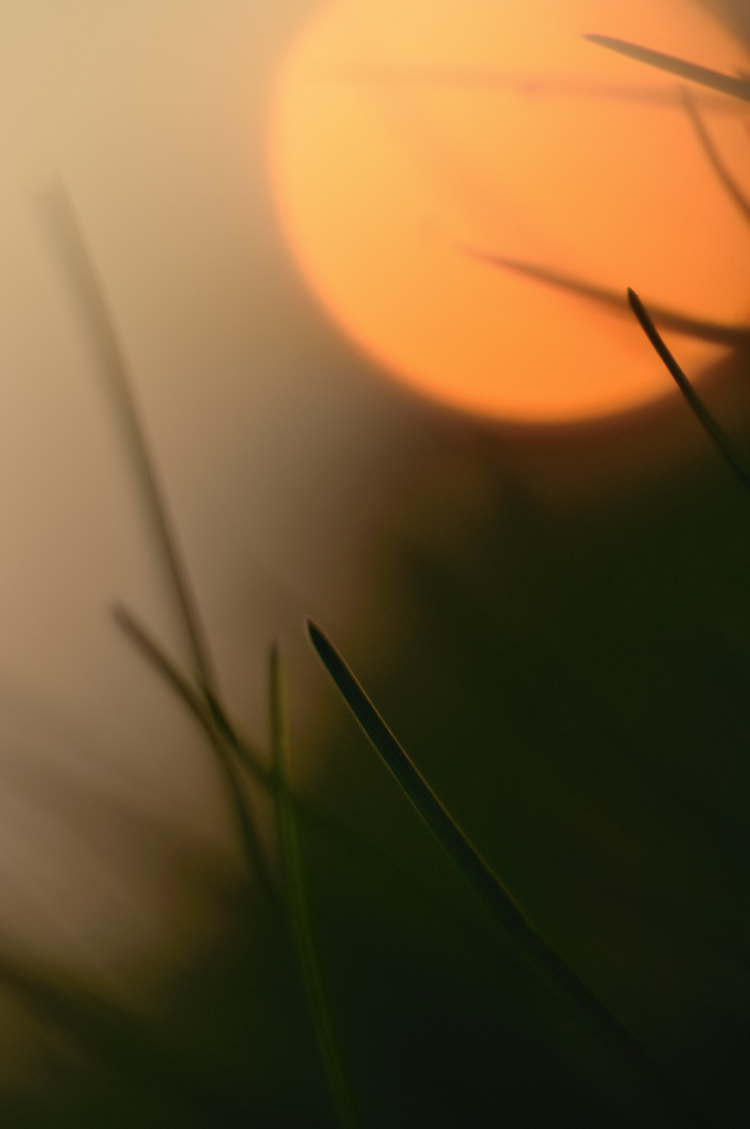71024sonne