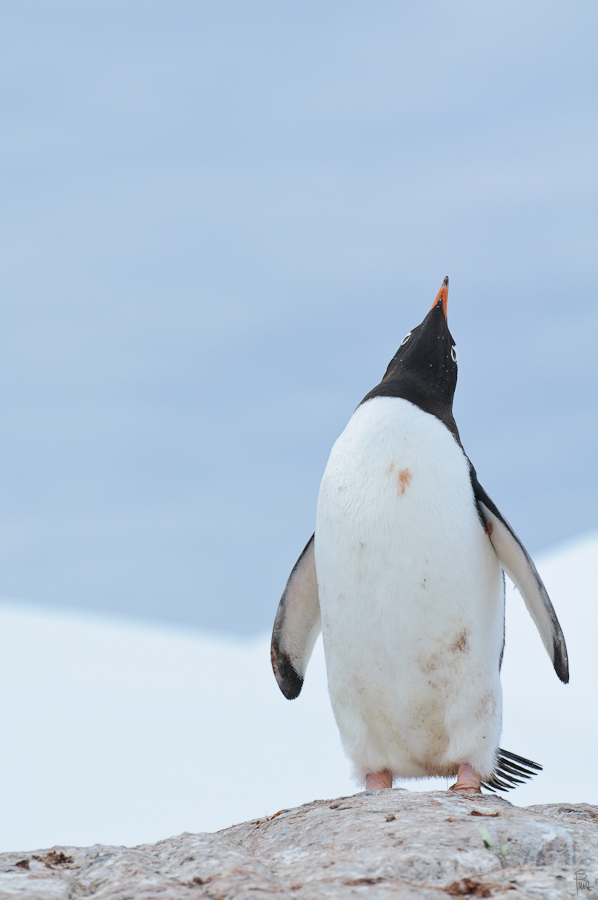 7148