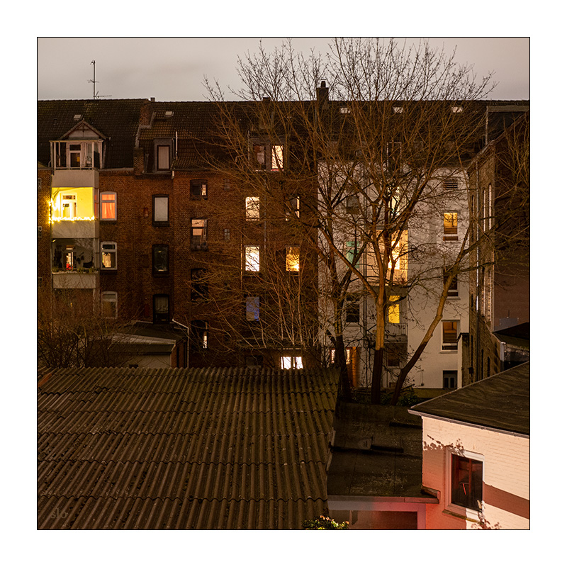 73/365 Aimee Mann – Nightmare Girl © 2026 Sabine Lommatzsch