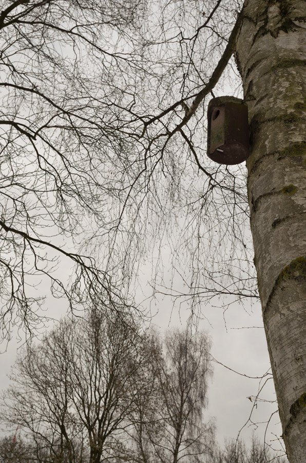 7554bäume vogelhäuschenheller
