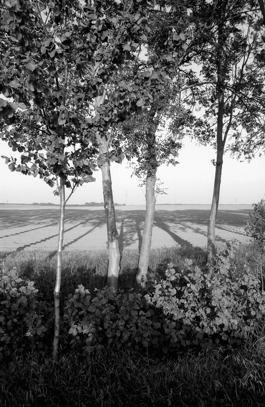 7800f7kodaktmax100wenndieschattensichlängen