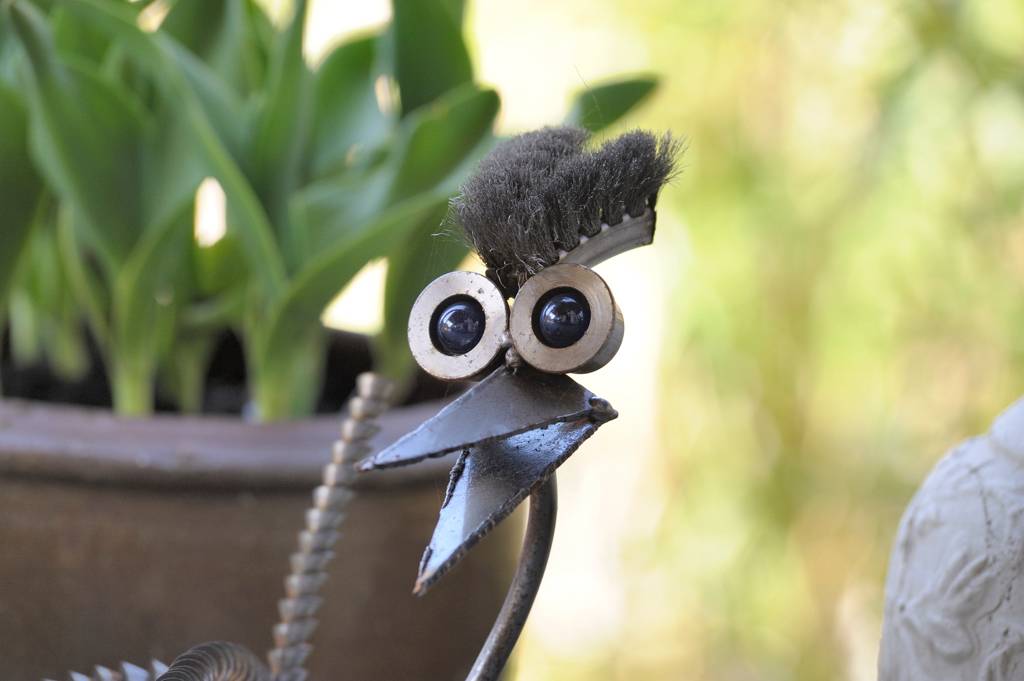 80 200 vogel