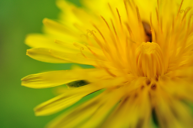 800 2013 05 03 5778 D 300S A