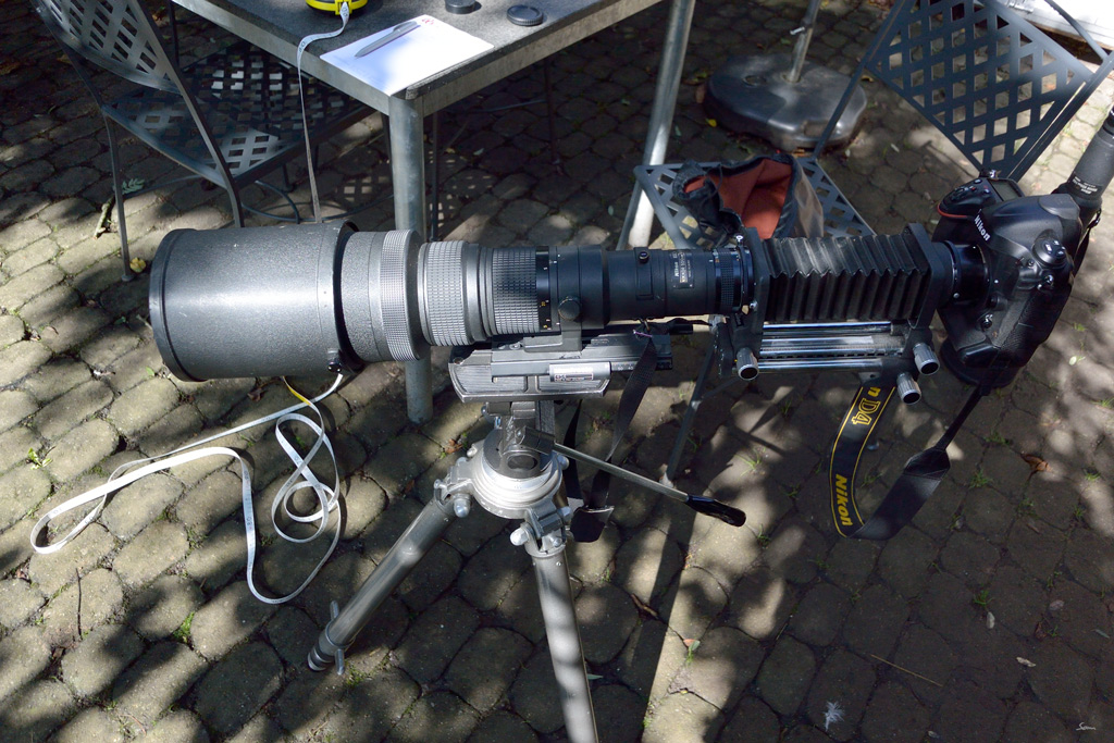 800mmDSC 5173
