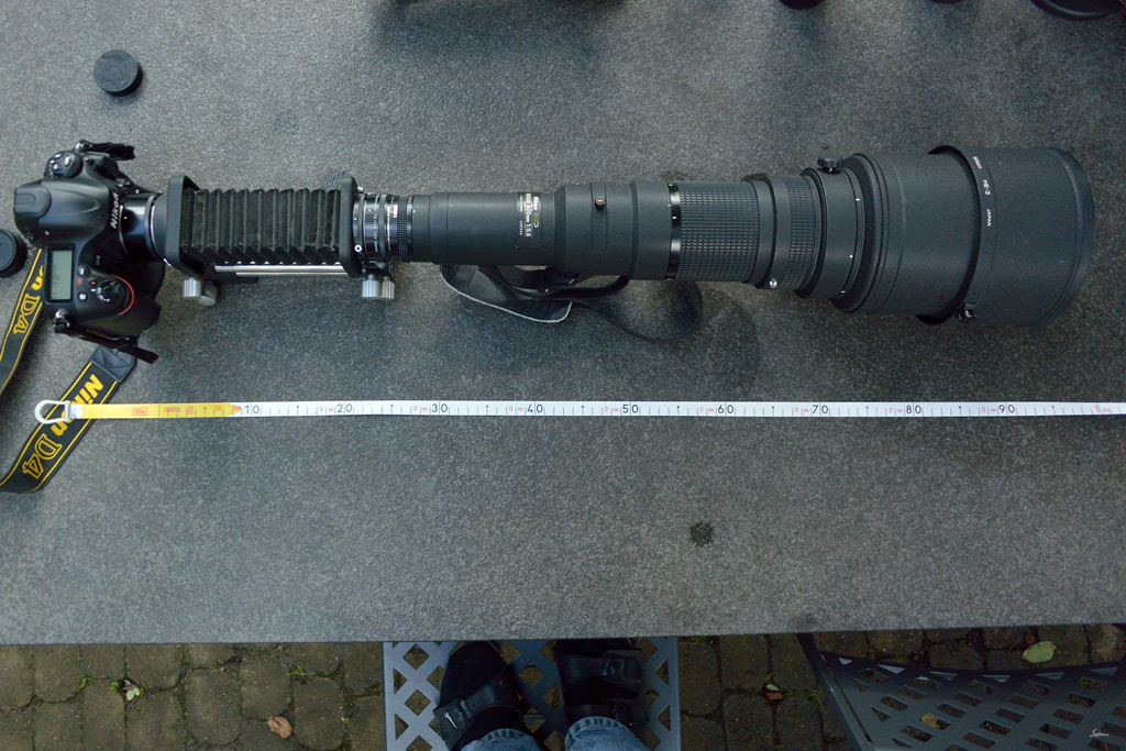 800mmDSC 5186
