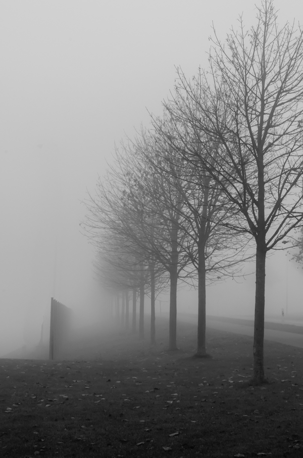 81/364