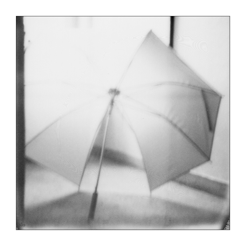 81/365