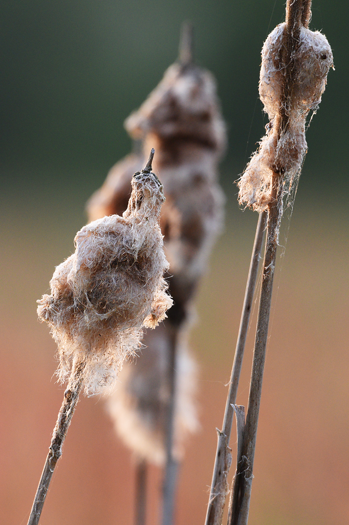 811 2068afks30p1f