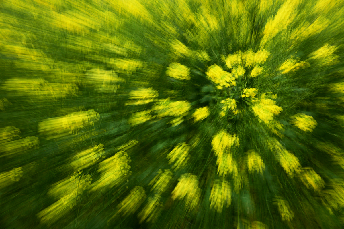 811_6618fks60p1.jpg
