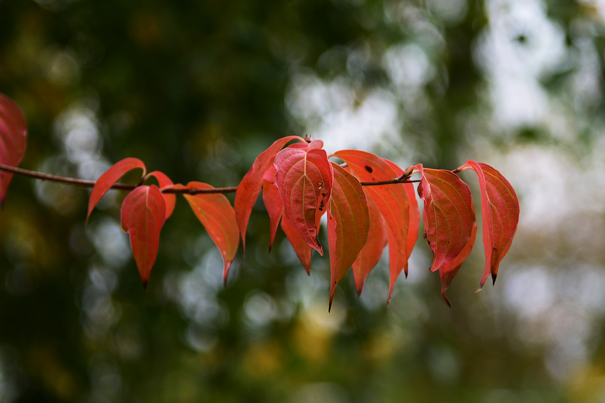 811_7960fks70p1.jpg