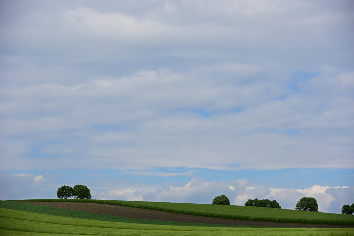 811_8167t0l10fks50p1.jpg