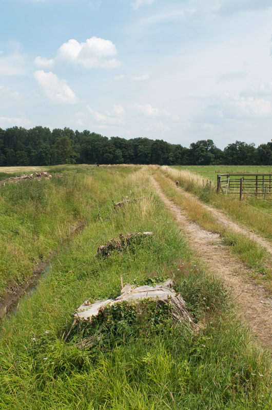 83800alleen