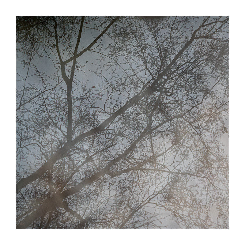 84/365