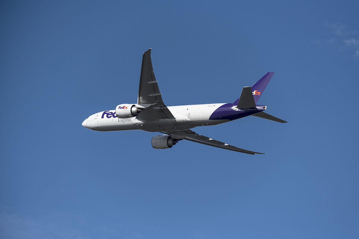 851 5019