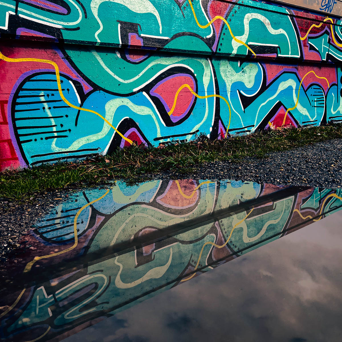 9-365.jpg