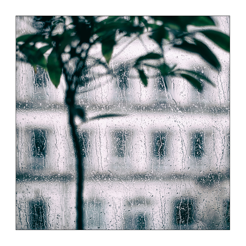 9/365