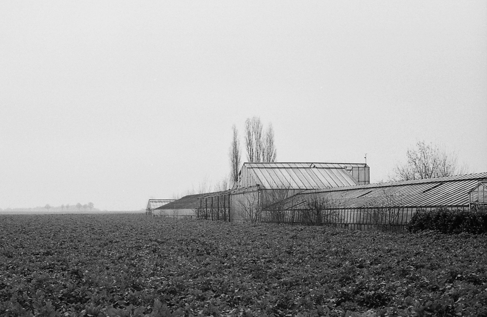 91000f315kotrix400