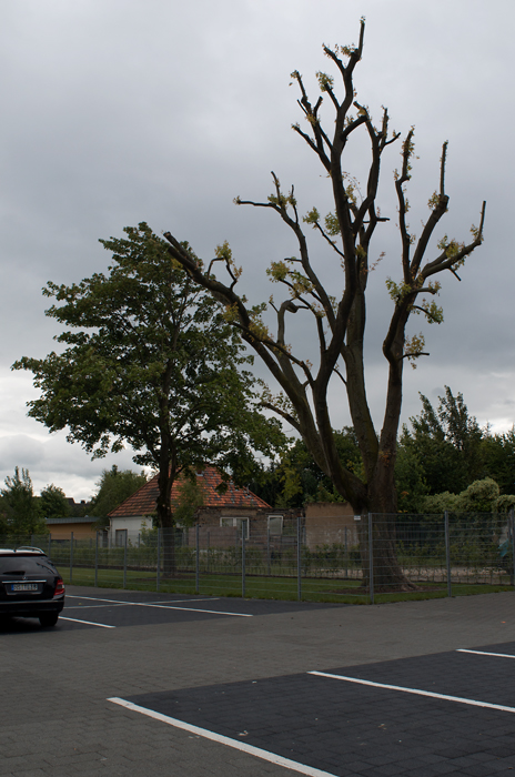 92700gegensätzetestfoto