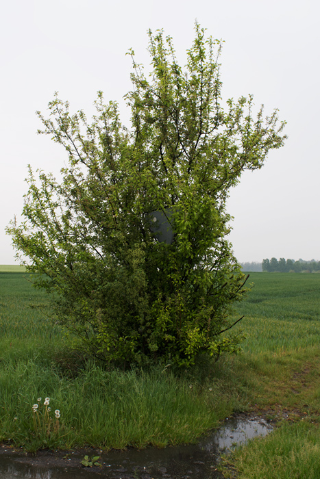 92schilder