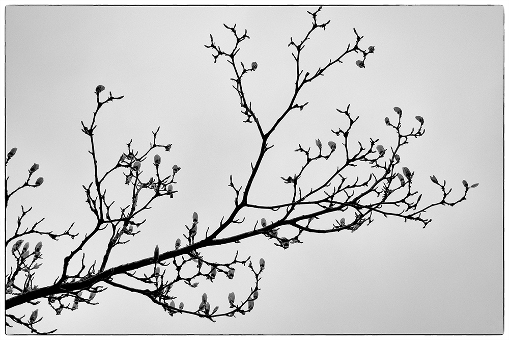 95/365