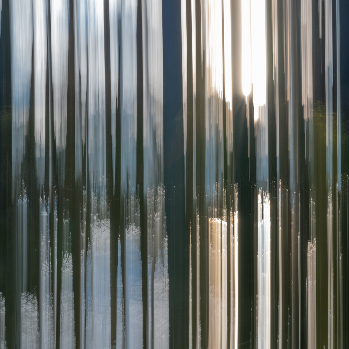 96-365.jpg