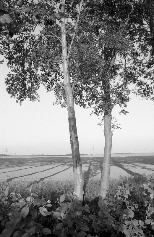 9800f7kodaktmax100wenndieschattensichlängen