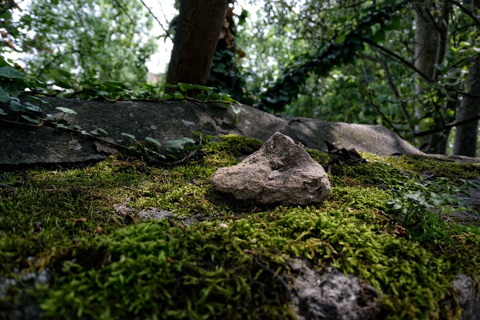 990 DSC 0864
