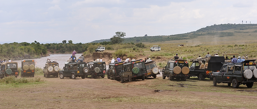 9MasaiMara6 DSC 3212