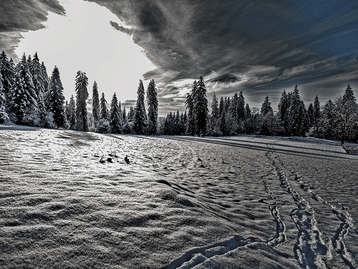 _1180009-Edit-Edit.gif