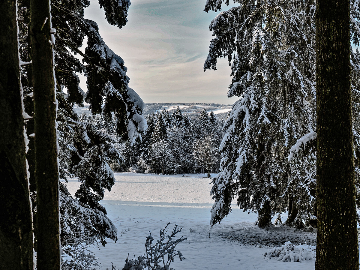 _1180023-Edit.jpg