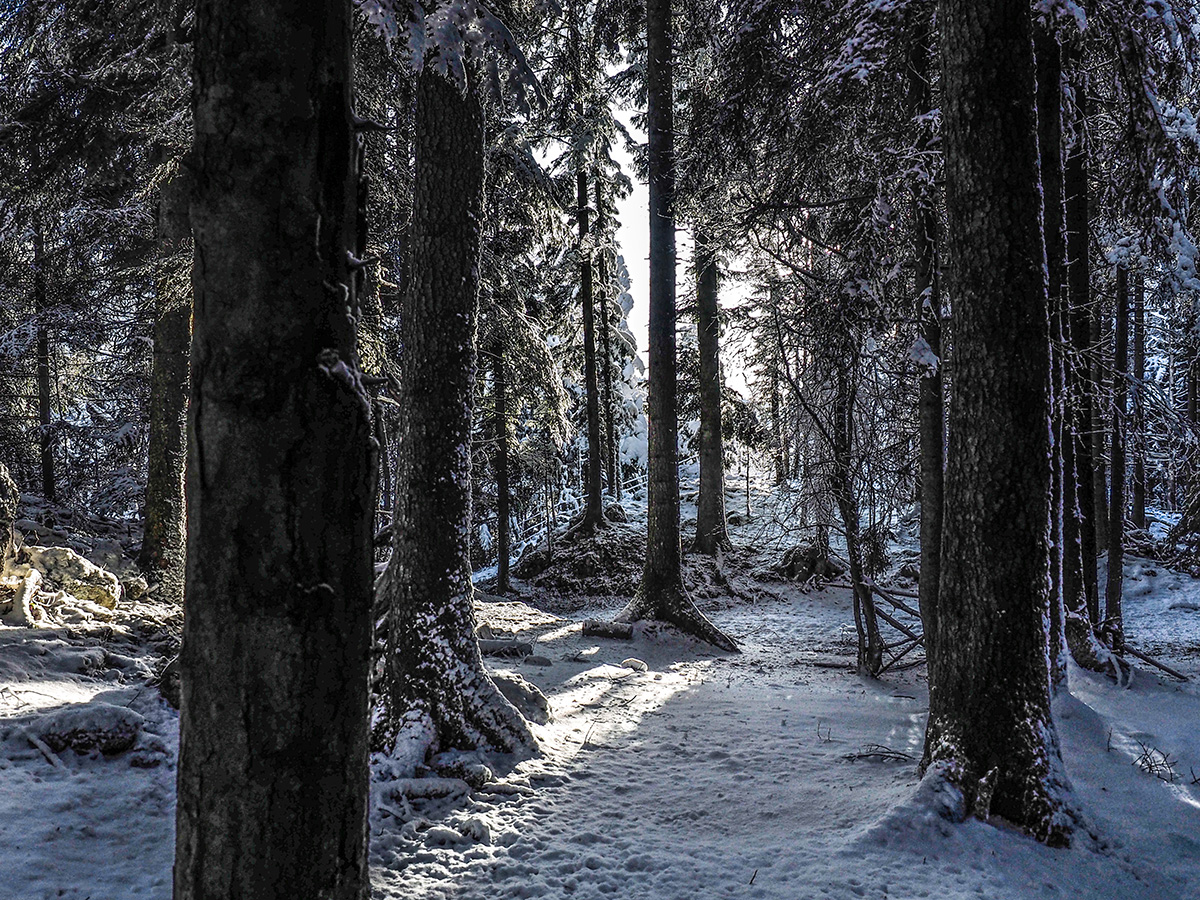 _1180035-Edit.jpg