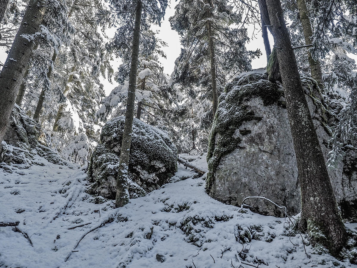 _1180037-Edit.jpg