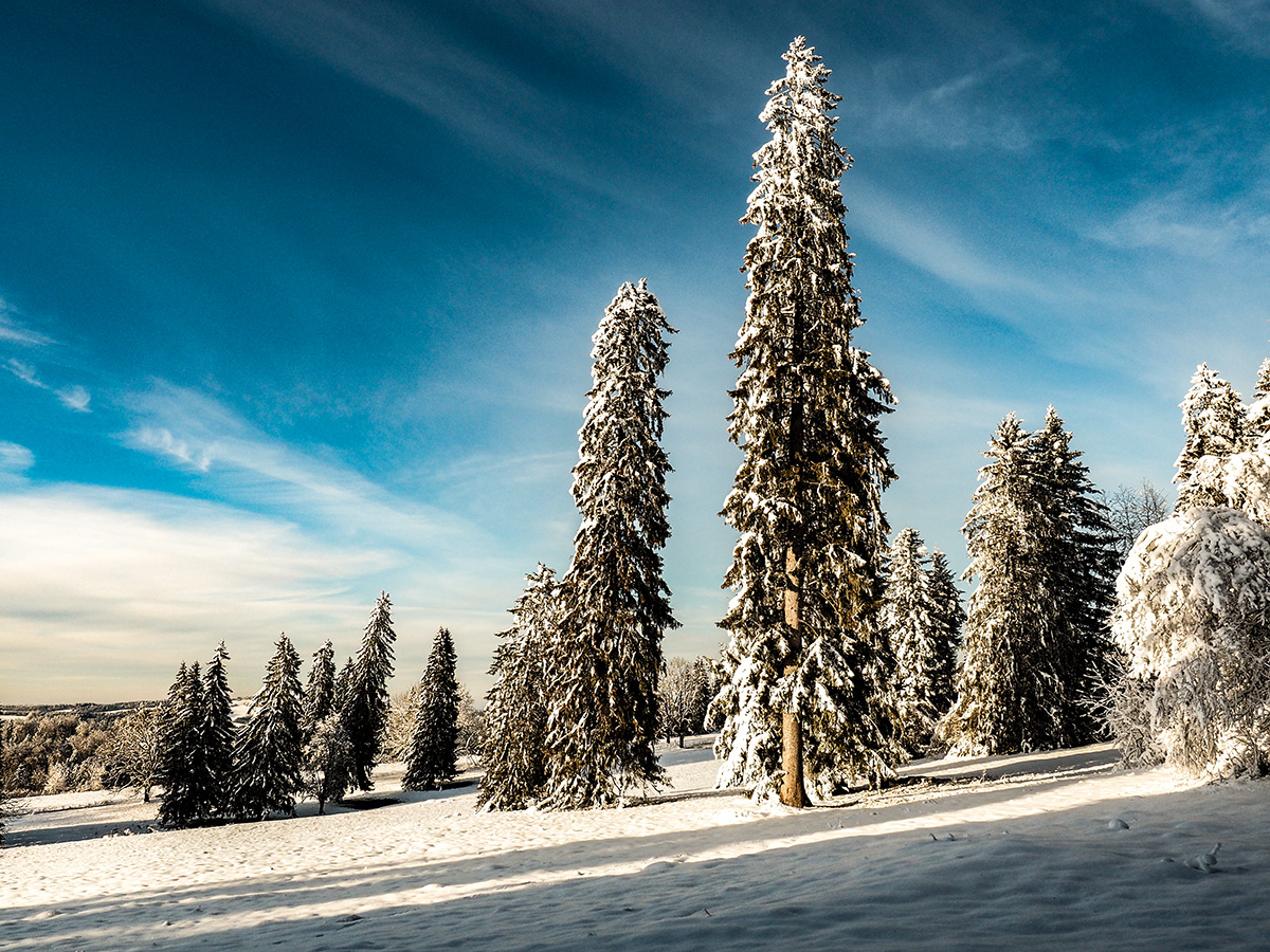 _1180070-Edit.jpg
