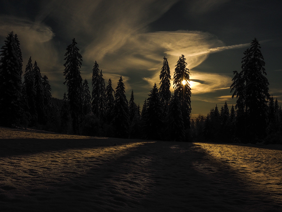 _1180080-Edit.jpg